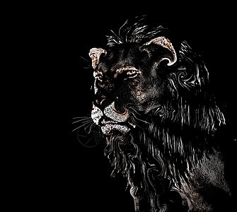 黑背景的狮子摘要图片