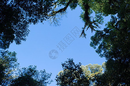 森林中的光明旅行山脉环境爬坡绿色森林蓝色天空太阳场景图片