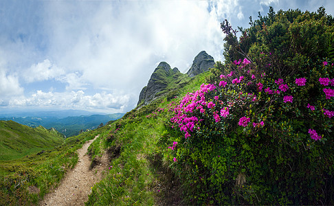 夏季天文山的全景与野生红晴天远足森林风景山脉顶峰旅游小路高山松树图片