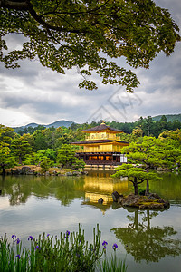 日本京都Kinkakuji金殿寺庙神道鸢尾花森林公园旅行文化佛教徒金子反射图片