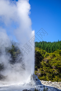 新西兰罗托鲁阿州Waiotapu的Geyser旅行公园地热火山地标旅游地质学女士蒸汽沸腾图片