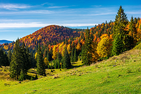 阿普塞尼山脉美丽的秋天风景图片
