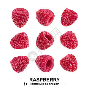 Raspberry 收藏 在白背景与剪切路径隔离的 Rasp莓 无缝模式图片