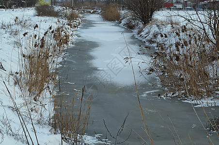 冬季风景 周围有冰冻的运河和雪雪森林旅行场地公园运河天空场景冬令寒冷农村图片