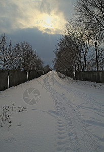 冬季的河边公路上布满了大雪风景森林农村国家小路场景降雪天气环境冻结图片