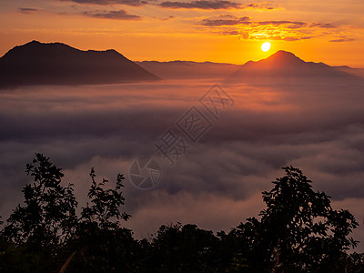 美丽的风雾布满了蓬陶环境森林日出顶峰风景太阳薄雾天空旅行图片