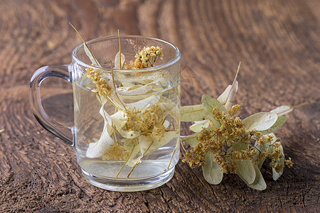 木上叶子花茶杯子乡村花瓣药品草本植物木头水彩花朵植物香气图片