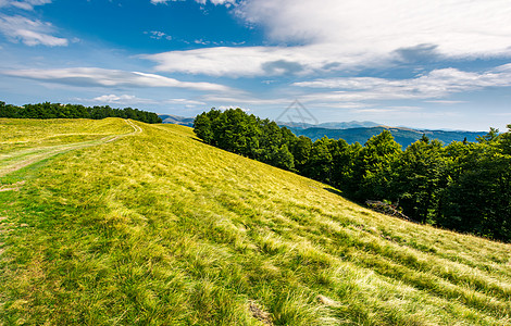 山上高山的山路 山坡进入山丘森林金库运输蓝色泥路小路旅游旅行山毛榉公园环境图片