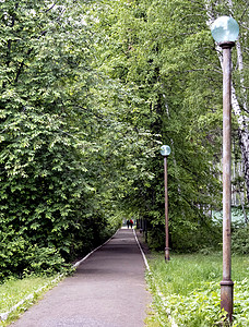 公园绿阴影小巷背景图片
