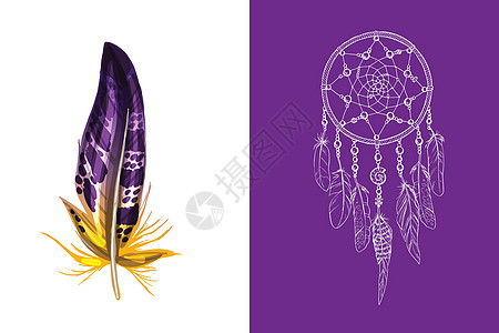 一套设计和装饰元素 详细的彩色羽毛特写隔离在白色背景 在紫色背景上手绘华丽的民族捕梦网 矢量图图片