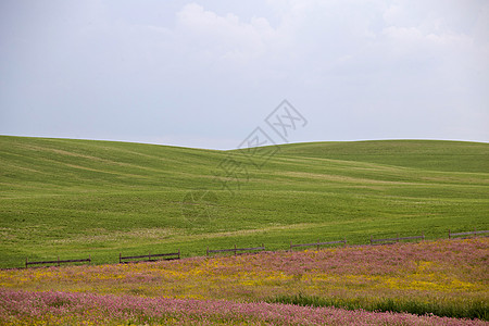 加拿大帕蕊雷风暴云雷雨风暴风景场景乡村农村戏剧性草原环境危险图片