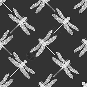 无孔雀无缝模式 昆虫设计 艾什纳维里德尔图片