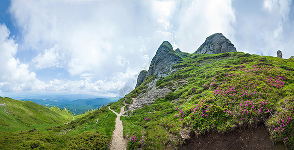 夏季天文山的全景与野生红公园森林风景天空旅行树木顶峰旅游岩石小路图片