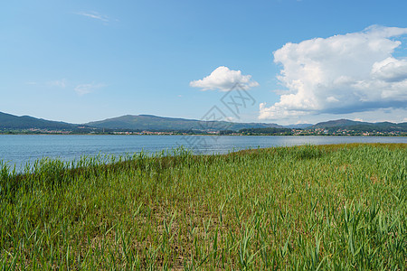 河流附近的阳光景色图片