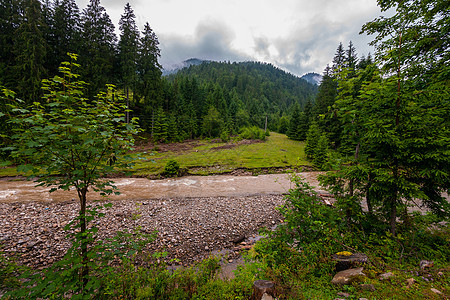 山顶笼罩在低飘的灰色云层中的美丽风景 山坡上的绿色森林和布满石头的海岸之间当前的浅流图片