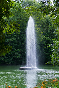 从树的绿叶到池塘中央喷泉后面的美丽景色 水流一清二楚 涨高了点 (笑声)图片