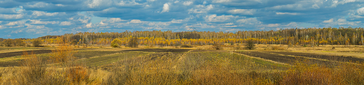 秋天风云下黄树环绕的秋色地貌图片