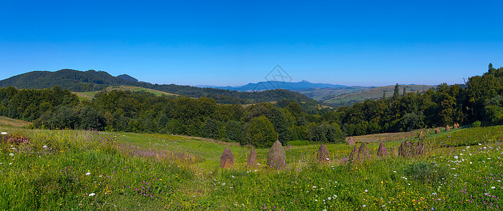 一片绿色草地的全景 在山脉背景中 有花朵和丰田干草图片