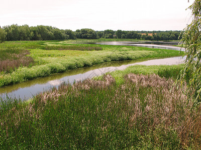 深厚的青草和深河 美丽的夏季风景图片