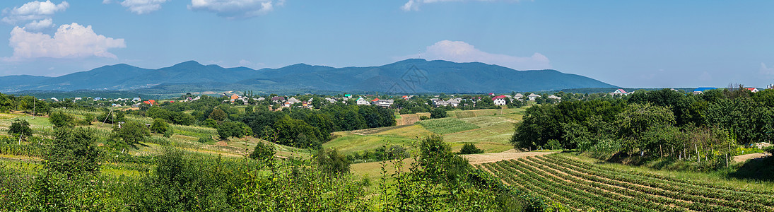 远山背景的村庄附近有农用土地的山丘全景(以远山为背景)图片