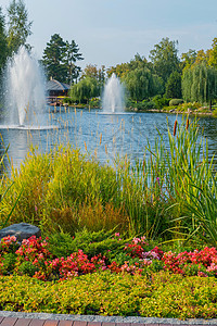 在湖底布满两个喷泉的花床 带有小多彩花朵和装饰石 乌克兰Mezhigorye图片