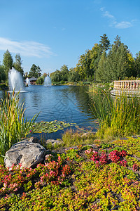 景色迷人的池塘 有泉水和清澈的水 你可以在炎热的夏日冷却 在岸上种树和花朵图片