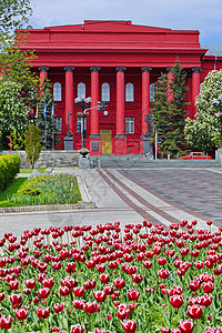 基辅塔拉斯·谢夫琴科国立大学最古老的红色建筑与基辅花床上的红色郁金香和谐地结合图片