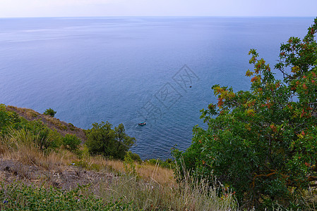 美丽的蓝色大海 前头有岩石草坪图片