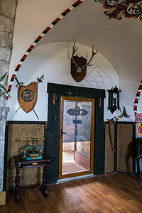 博物馆中的鹿角鹿和国家装饰品中美丽的天花板图片