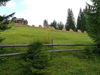房子 干草堆和木栅栏在山的绿色斜坡上 在多云的天空下被绿色高冷杉树包围 休息 旅游 野餐的地方图片