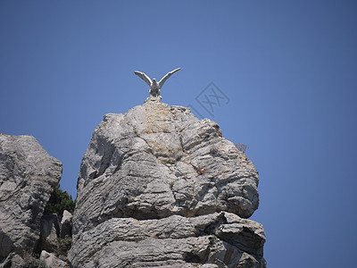 一个小的 现实的鸟雕像 在海滩上的灰岩上 自由的象征图片
