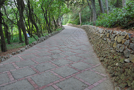 公园里一条极好的小路 两旁铺着瓷砖 一侧是树木 另一侧是一堵矮石墙图片