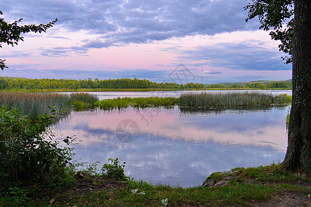 粉红蓝日落和美丽的湖泊 被一个有草和其他植物的图片