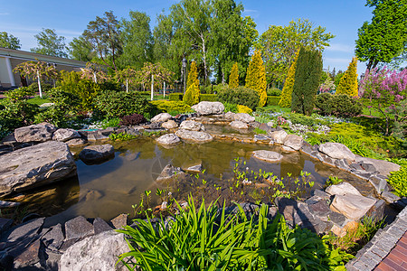 公园中装饰小池塘 有巨石图片