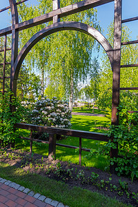 一个高大的木形拱门 在A的背景下有玫瑰灌木丛图片