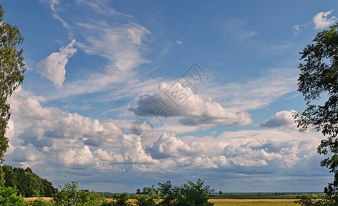 广阔 明亮 白云中的田地和蓝天空 美丽的户外夏季风景图片