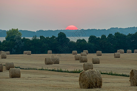 明亮的粉红太阳在草原下寒冷的田野背景下离开地平线图片