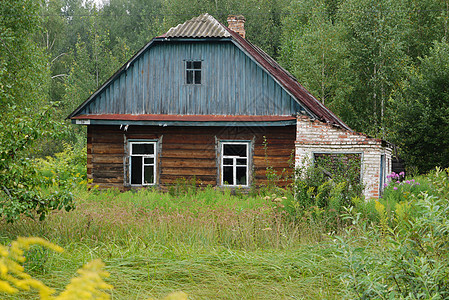 一座废弃的老房子 在农村窗户破碎 站在茂密的灌木丛和树木中图片