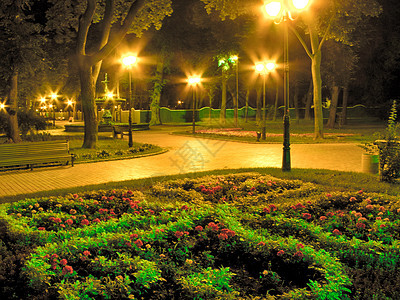 美丽的花朵床 在夜公园的幕后带红花和绿草 绿色花棚图片