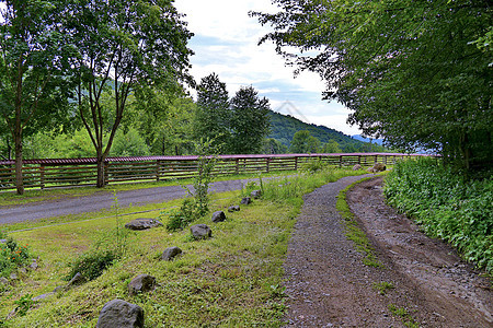 一边是靠近树木的泥土路 另一边是木栅栏 对山坡有美丽的景色图片