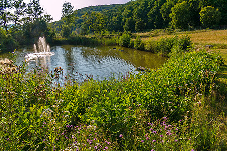 一个小池塘 中间有喷泉池 位于森林附近图片
