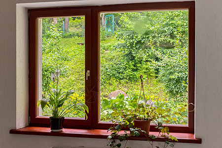 窗台上有透明玻璃的窗框 窗台上有绿花 窗外有绿色植物背景图片