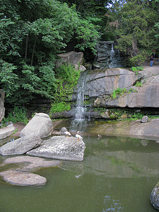 鸭子站在石头上 在小瀑布背景的湖边漂浮着 形成一个小瀑布图片