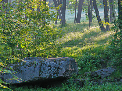 在浅绿灌木和高树茂弱的背景下 形成大型巨型迷彩巨石的岩层图片