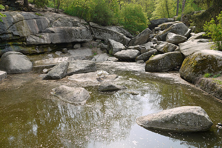 大石头之间部分干涸的森林溪流 其中一个上面有两只白色的鸟图片