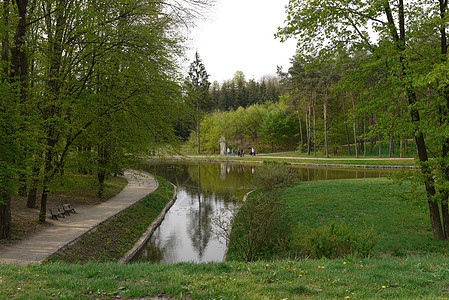巷子附近的一条河 有木板凳 在绿色公园中放松图片