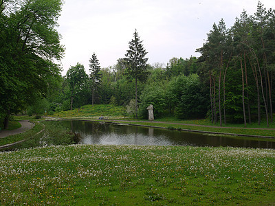 高树间的小湖 海岸上有绿草 有人坐长椅 一个好而安静的放松之地图片