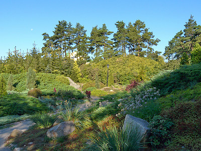 绿色公园 有一条通往花草床与峡谷之间的通道图片