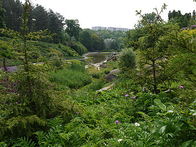 绿色种植园中的一条河流 其背景是德恩得里科公园城市建筑的背景图片