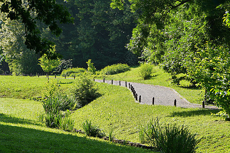 公园景色美丽 夏日晴朗 绿草在一棵红树的斜坡上 有一条小路通向远方图片